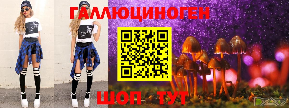 Псилоцибиновые грибы GOLDEN TEACHER Ливны