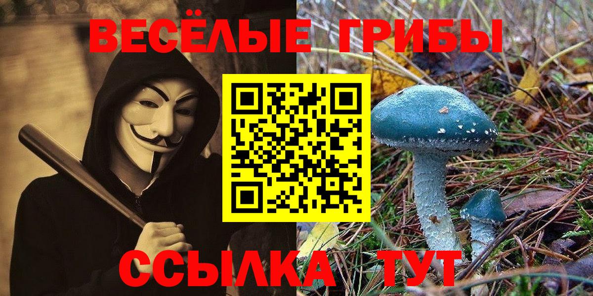 Галлюциногенные грибы Magic Shrooms  Вход с VPN  Ливны 